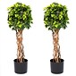 Pure Garden 30 Inch English Ivy Single Ball Topiary Tree (50-10017)