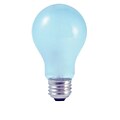 Bulbrite INC A19 43W Dimmable True Daylight Frost 2900K Soft White 6PK (616343)