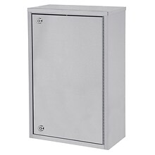 Omnimed Large Single Door Narcotic Cabinet - 4 Shelves - 8 D (181481)