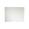 Arches Watercolor Paper 300 Lb. Cold Press White 22 In. X 30 In. Sheet (100511525)