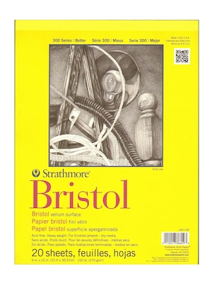 Strathmore 300 Series Bristol Vellum 9 In. X 12 In. [Pack Of 2] (2PK-342-109-1)