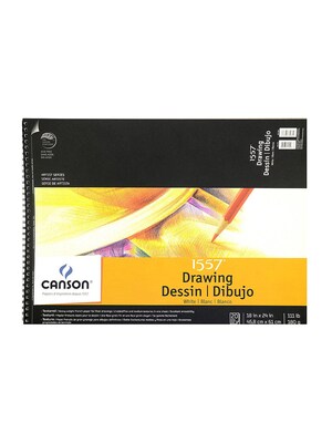 Canson C A Grain Drawing Paper Pads, 18 In. x 24 In. (100510889)
