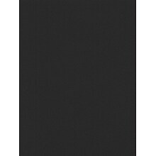 Canson Mi-Teintes Mat Board Stygian Black 16 In. X 20 In. [Pack Of 5] (5PK-100510126)