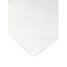 Canson Mi-Teintes Mat Board White 32 In. X 40 In. (100510099)