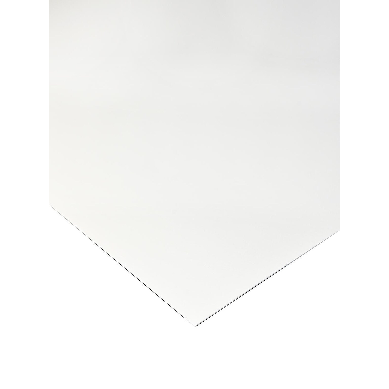 Canson Mi-Teintes Mat Board White 32 In. X 40 In. (100510099)