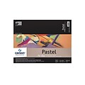 Canson Mi-Teintes Pastel Assorted Pad, 12 In. x 16 In. (100510865)