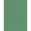 Pacon Sunworks Construction Paper Green 12 x 18, 50 Sheets, 5/Pack  (5PK-8007)
