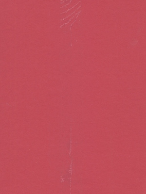 Pacon 12 x 18 Construction Paper, Holiday Red, 50 Sheets/Pack, 5/Pack (75007-PK5)