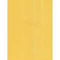 Pacon Sunworks Construction Paper Yellow 12 x 18, 50 Sheets, 5/Pack  (5PK-8407)