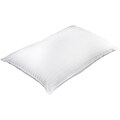 Barska Aus Vio 100% Silk Filled Pillow Queen Size  (BM12052)