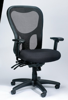 Raynor Eurotech Seating Apollo Mesh Desk Chair, Center and Forward Tilt, Black
