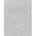 LUX 8 1/2 x 11 Paper (8 1/2 x 11) - Silver Sparkle - Pack of 1000 (2445124)