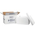17 x 10 x 10.5 Insulated Shipping Containers, White, Each (246C)