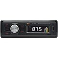 QFX® FX-160US AM/FM Radio with MP3/USB/SD Receiver, Black