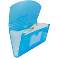 Jam Paper Plastic File Pocket, Check Size, Blue (221618980)