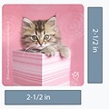 SmileMakers® Rachael Hale Cats Stickers; 2-1/2”H x 2-1/2”W, 100/Roll