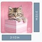 SmileMakers® Rachael Hale Cats Stickers; 2-1/2”H x 2-1/2”W, 100/Box