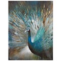 Yosemite Home Decor Peacock Prowess 27.5 x 35.5 Frameless Art