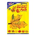 Trend Enterprises 5.5;6 Maple Leaves Classic Accents Variety Pack, 36 Pack (T-10958)