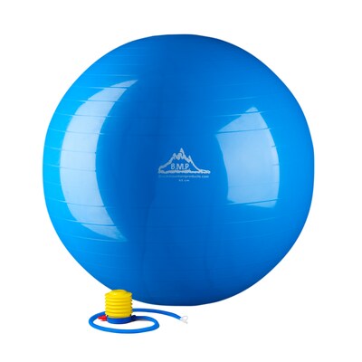 2000lbs Static Strength Exercise Stability Ball with Pump, 85cm, Blue