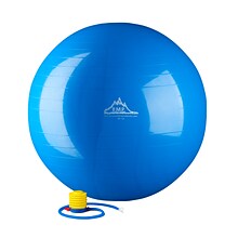 2000lbs Static Strength Exercise Stability Ball with Pump, 85cm, Blue