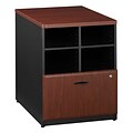 Bush Business Furniture Cubix 24W Storage Cabinet, Hansen Cherry (WC94423P)