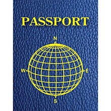 Ashley® Productions Blank Passport, Grades All, 12/PK, 3 PK/BD