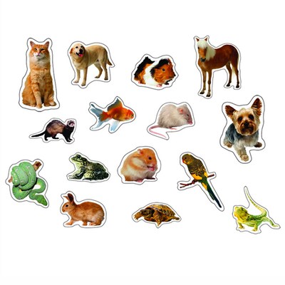 Pets: Photographic Stickers