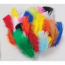 Creativity Street® Feathers, Assorted Bright Hues, 1 oz (CK-4502)