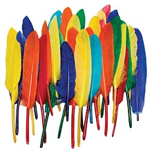 Chenille Craft® Bright Color Duck Quill Feathers, 96 Pieces, 2/Bd