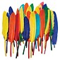 Chenille Craft® Bright Color Duck Quill Feathers, 96 Pieces, 2/Bd