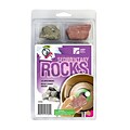 American Educational Products Explore With Me Geology® Sedimentary Rocks