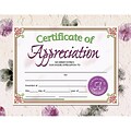 Hayes Certificate of Appreciation, 8.5 x 11, Pack of 30 (H-VA614)