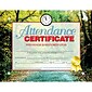 Hayes Attendance Certificate, 8.5" x 11", Pack of 30 (H-VA680)