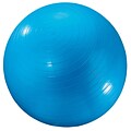 Dick Martin Sports 24 Exercise Ball, Blue (MASGYM24)