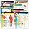 Trend® Learning Chart Combo Packs, The Human Body