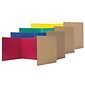 Flipside 18" x 48" Privacy Shield, Assorted, 24/Pack