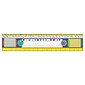 Trend®, Zaner-Bloser Desk Toppers® 2nd - 3rd Grades Name Plate, 3.75" x 18", 36/Pack (T-69402)