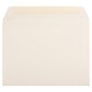 JAM Paper® 9 x 12 Booklet Strathmore Envelopes, Ivory Wove, 25/Pack (194504)