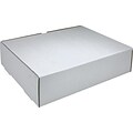 Literature Mailers; White, 15-1/8Lx11-1/8Wx4D