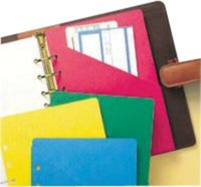 Day-Timer® Colorlife® Slash Pockets, Desk Size
