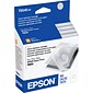 Epson T054 Gloss Standard Yield Ink Cartridge, 2/Pack