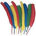 Chenille Kraft Multi Colored Quill Feather; 24/Pack
