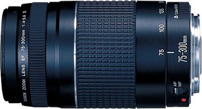 Canon® EF 75-300mm f/4-5.6 III Telephoto Zoom Lens