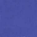 Pacon Corporation 4-Ply Railroad Poster Board, Dark Blue 28.5 x 22.25 25 Per Pack (PAC54651)
