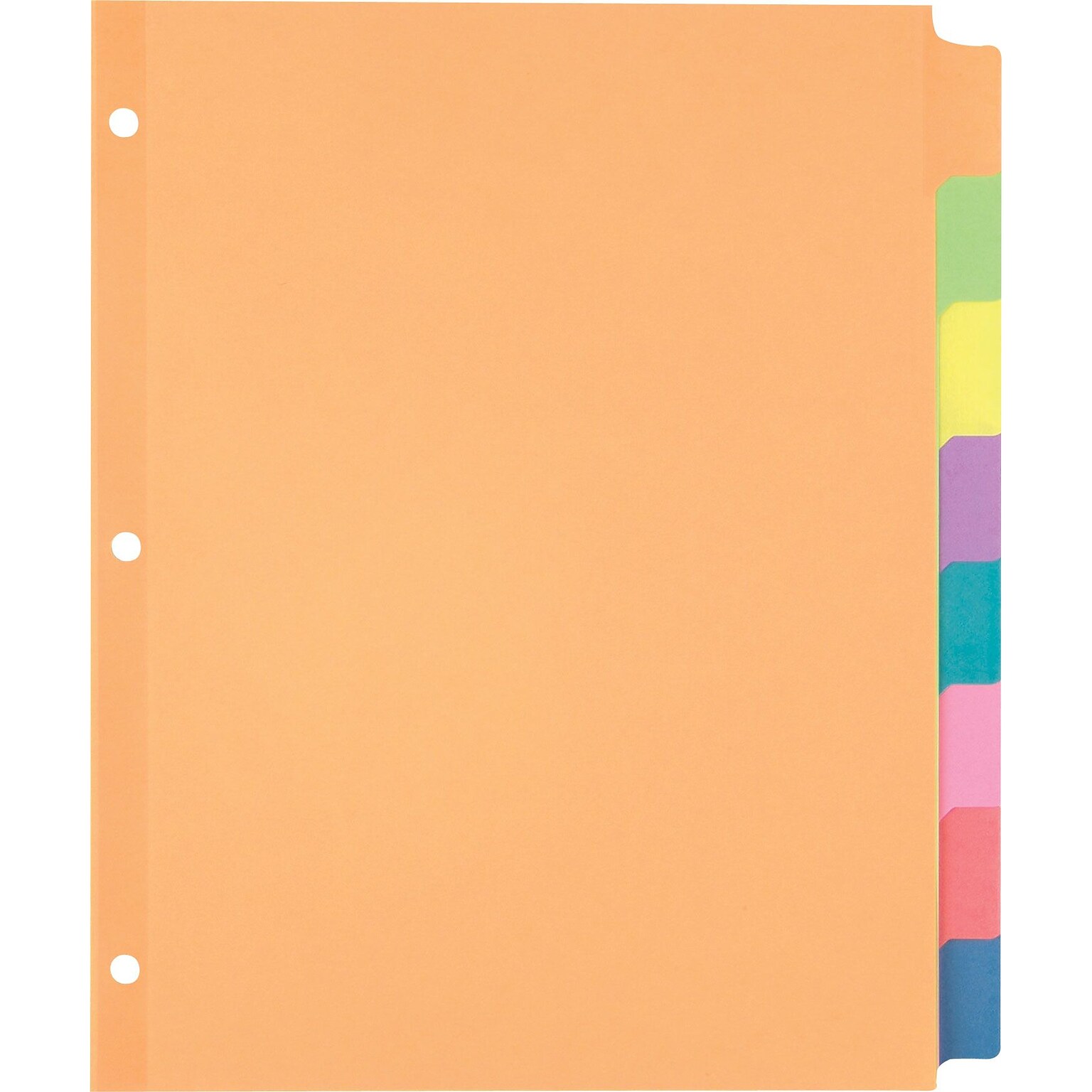 Staples® Large Tabs Blank Paper Dividers, 8-Tab, Multicolor (13513/23181)