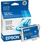 Epson T048 Cyan Standard Yield Ink Cartridge