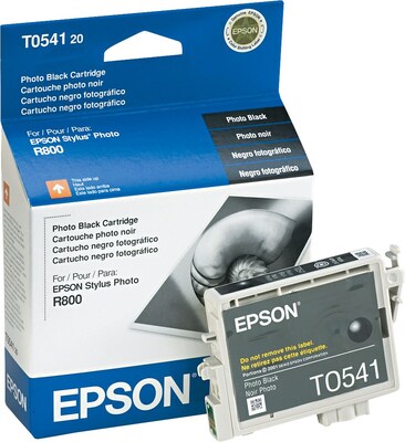 Epson T054 Photo Black Standard Yield Ink Cartridge, Prints Up to 400 Pages (T054120)