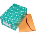 Quality Park Gummed Catalog Envelope, 10 x 15, Light Kraft, 100/Box (54301)