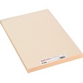 Pacon Tagboard, 12 x 18, Manila, 100/Pack (5184)